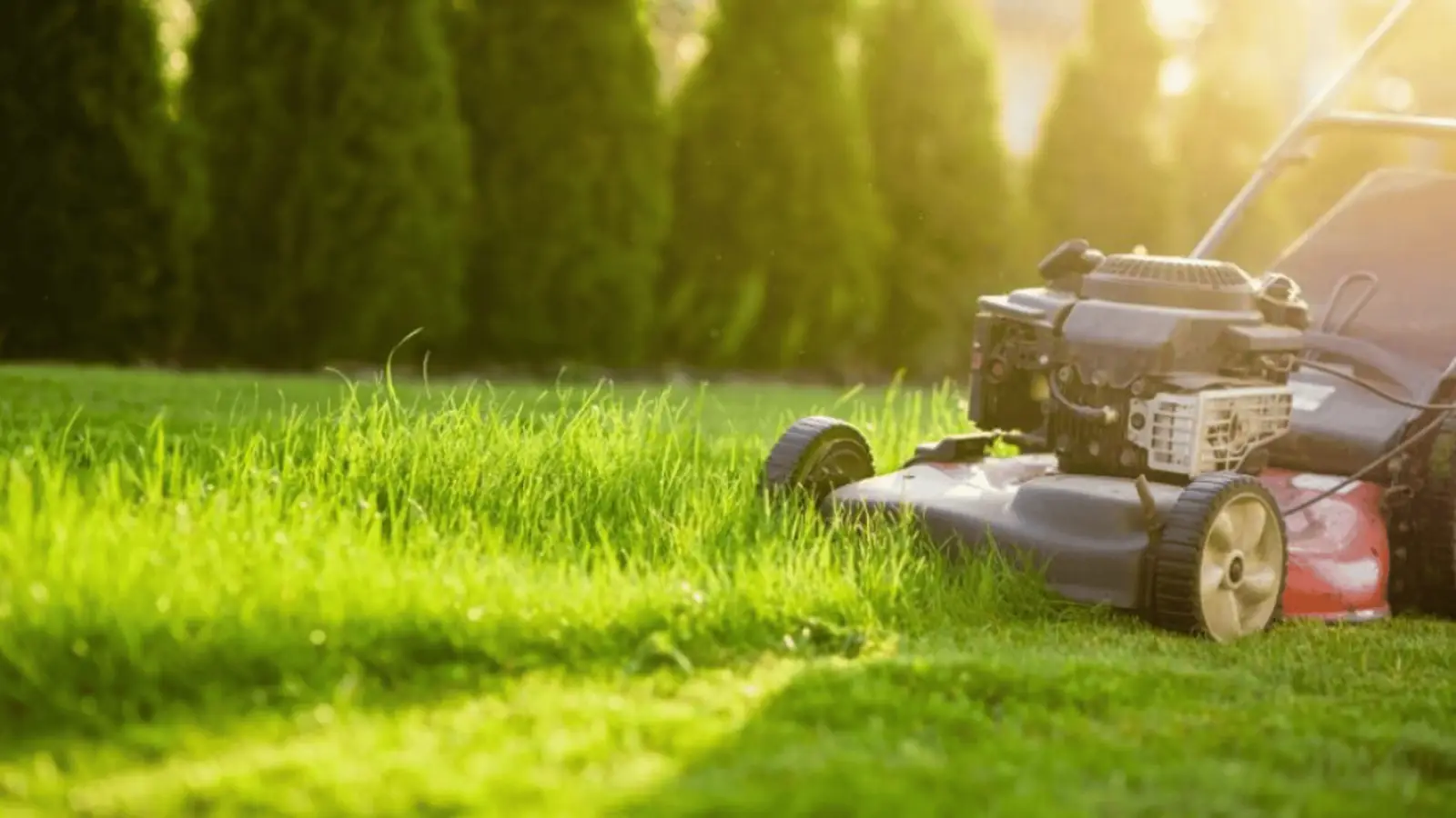 MDA Services — lawn care in Avon